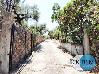 Διαμέρισμα 29 τ.μ. για ενοικίαση, Μεσσηνία, Αβία-thumb-19