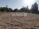 Αγροτεμάχια 7.750τ.μ. για πώληση-Θέρμη » Σουρωτή