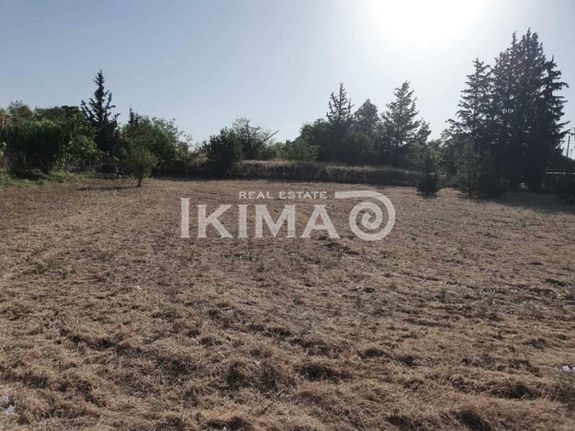 Αγροτεμάχια 7.750 τ.μ. για πώληση, Θεσσαλονίκη - Περιφ/Κοί Δήμοι, Θέρμη