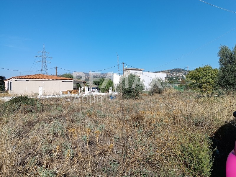 Οικόπεδο 375 τ.μ. πρός πώληση, Μαγνησία, Νέα Ιωνία Βόλου