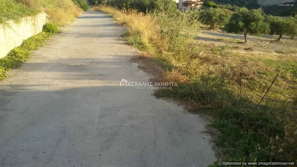 Οικόπεδο 585 τ.μ. προς πώληση, Βασιλείες