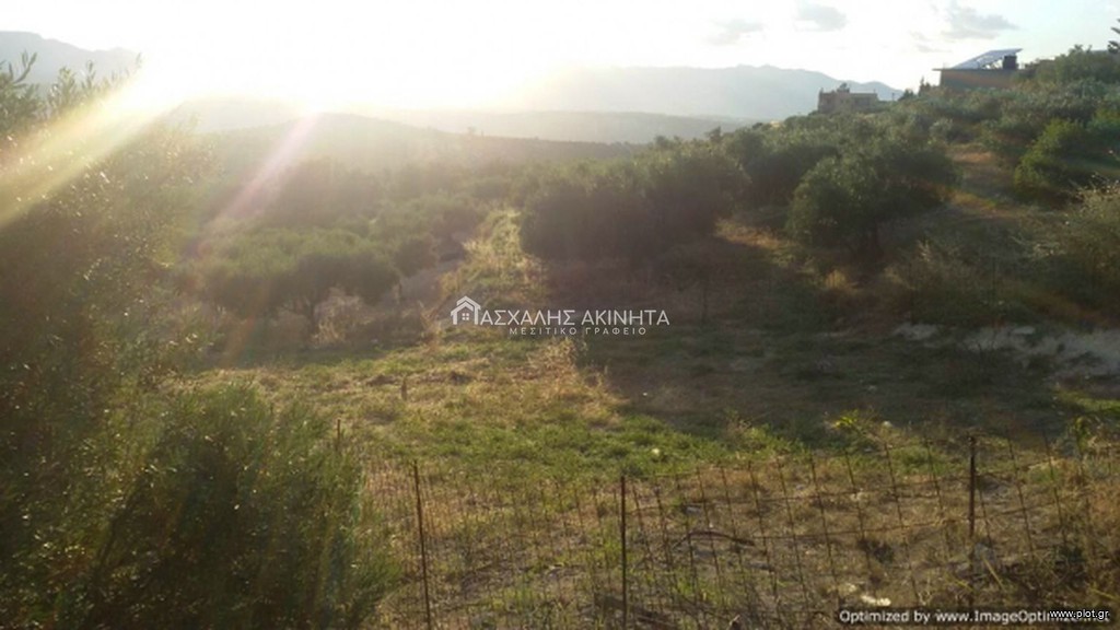 Οικόπεδο 585 τ.μ. προς πώληση, Βασιλείες