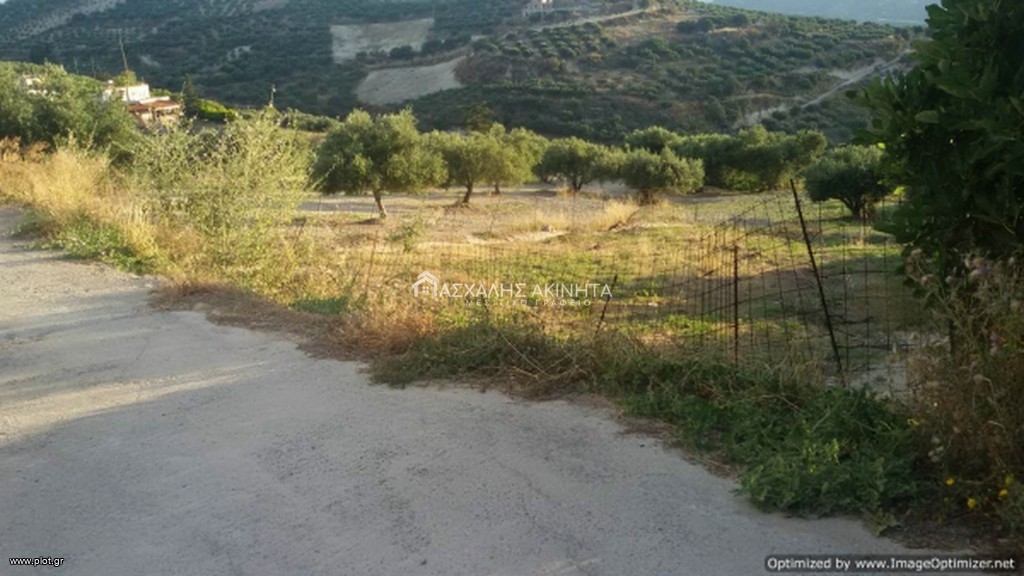 Οικόπεδο 585 τ.μ. προς πώληση, Βασιλείες