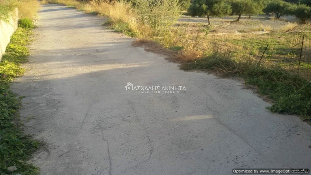 Οικόπεδο 585 τ.μ. προς πώληση, Βασιλείες