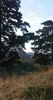 Land plot 4.500sqm for sale-Krousonas » Korfes