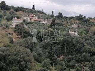 Οικόπεδο 1.700 τ.μ. για πώληση, Αχαΐα, Ερίνεο-thumb-9