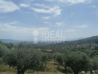 Οικόπεδο 1.700 τ.μ. για πώληση, Αχαΐα, Ερίνεο-thumb-7
