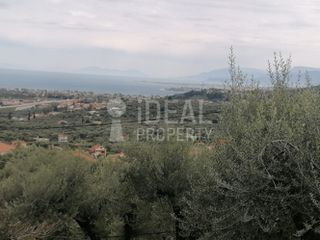 Οικόπεδο 1.700 τ.μ. για πώληση, Αχαΐα, Ερίνεο-thumb-6