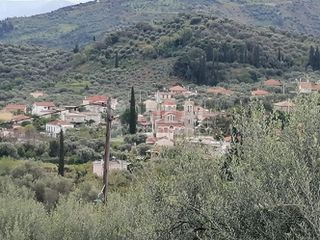 Οικόπεδο 1.700 τ.μ. για πώληση, Αχαΐα, Ερίνεο-thumb-11