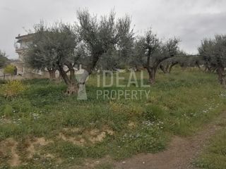 Οικόπεδο 1.700 τ.μ. για πώληση, Αχαΐα, Ερίνεο-thumb-5