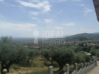 Οικόπεδο 1.700 τ.μ. για πώληση, Αχαΐα, Ερίνεο-thumb-2
