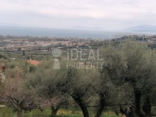 Οικόπεδο 1.700 τ.μ. για πώληση, Αχαΐα, Ερίνεο-thumb-4