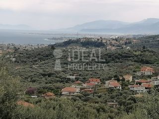 Οικόπεδο 1.700 τ.μ. για πώληση, Αχαΐα, Ερίνεο-thumb-10