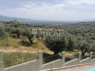Οικόπεδο 1.700 τ.μ. για πώληση, Αχαΐα, Ερίνεο-thumb-3