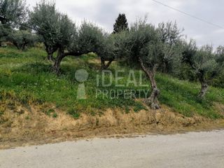 Οικόπεδο 1.700 τ.μ. για πώληση, Αχαΐα, Ερίνεο-thumb-8