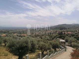 Οικόπεδο 1.700 τ.μ. για πώληση, Αχαΐα, Ερίνεο-thumb-1