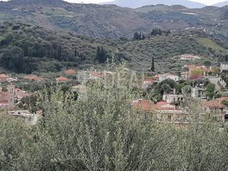 Οικόπεδο 1.700 τ.μ. για πώληση, Αχαΐα, Ερίνεο-thumb-12