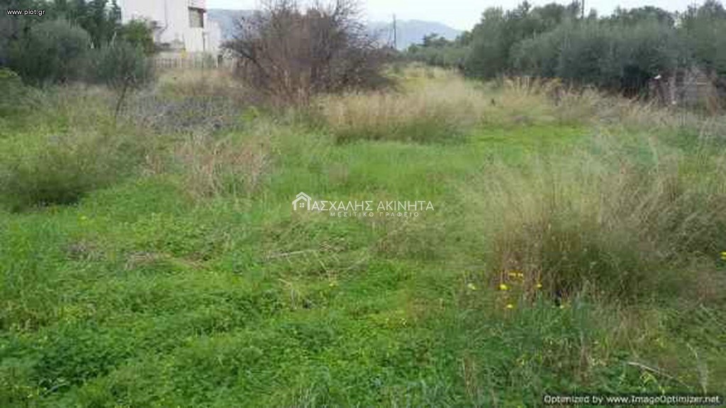 Οικόπεδο 2.000 τ.μ. προς πώληση, Σκαφιδαράς
