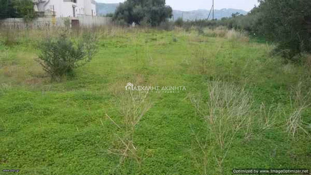 Οικόπεδο 2.000 τ.μ. προς πώληση, Σκαφιδαράς