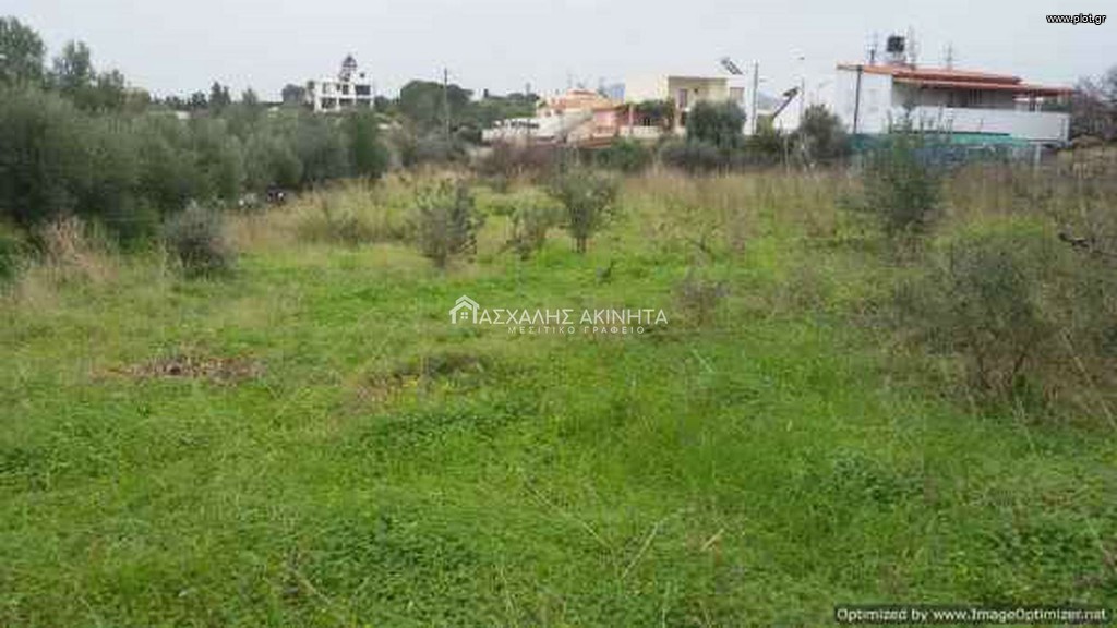 Οικόπεδο 2.000 τ.μ. προς πώληση, Σκαφιδαράς