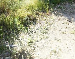 Οικόπεδο 370 τ.μ. για πώληση, Αχαΐα, Ρίο-thumb-7