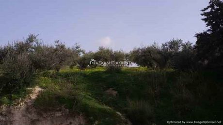 Land plot 2.000sqm for sale-Heraclion Cretes » Vasileies