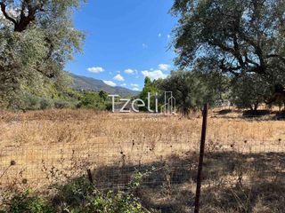 Οικόπεδο 7.500 τ.μ. για πώληση
