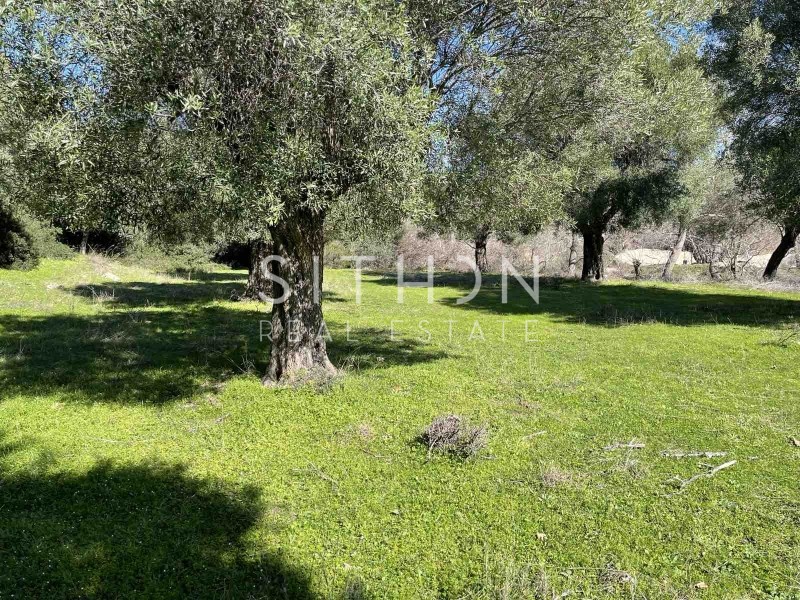 Αγροτεμάχια 2.327 τ.μ. προς πώληση, Δεστενίκα