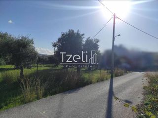 Οικόπεδο 255 τ.μ. για πώληση, Αχαΐα, Μεσσατίδα-thumb-2