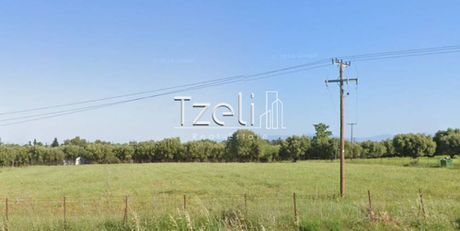 Αγροτεμάχια 15.375τ.μ. για πώληση-Δυτικής αχαΐας » Κάτω αχαΐα