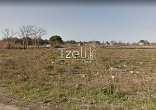 Αγροτεμάχια 6.765 τ.μ. για πώληση