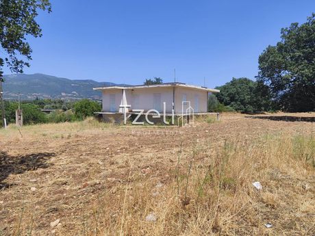 Οικόπεδο 14.000 τ.μ. για πώληση