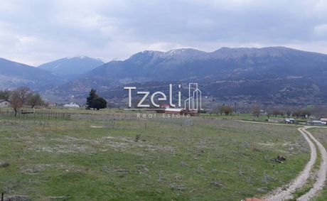 Αγροτεμάχια 3.800 τ.μ. για πώληση