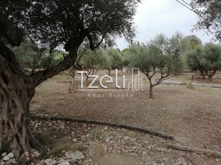 Οικόπεδο 4.800 τ.μ. για πώληση