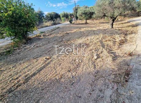 Οικόπεδο 800 τ.μ. για πώληση