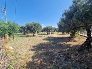 Οικόπεδο 2.000 τ.μ. για πώληση, Αχαΐα, Ρίο-thumb-19