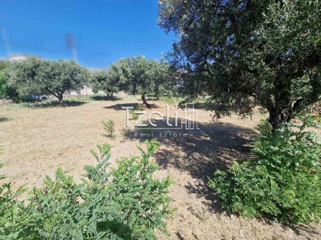 Land plot 2.000sqm for sale-Rio » Agios Vasileios