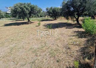 Οικόπεδο 2.000 τ.μ. για πώληση, Αχαΐα, Ρίο-thumb-16