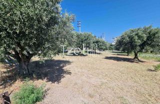 Οικόπεδο 2.000 τ.μ. για πώληση, Αχαΐα, Ρίο-thumb-27