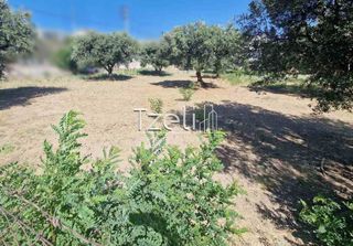 Οικόπεδο 2.000 τ.μ. για πώληση, Αχαΐα, Ρίο-thumb-17