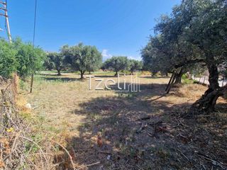 Οικόπεδο 2.000 τ.μ. για πώληση, Αχαΐα, Ρίο-thumb-11