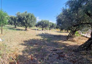 Οικόπεδο 2.000 τ.μ. για πώληση, Αχαΐα, Ρίο-thumb-12