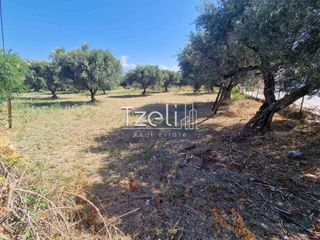 Οικόπεδο 2.000 τ.μ. για πώληση, Αχαΐα, Ρίο-thumb-15