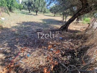 Οικόπεδο 2.000 τ.μ. για πώληση, Αχαΐα, Ρίο-thumb-23