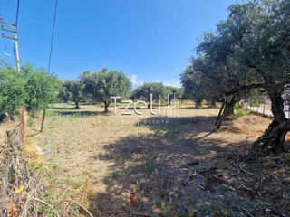 Οικόπεδο 2.000 τ.μ. για πώληση, Αχαΐα, Ρίο-thumb-8