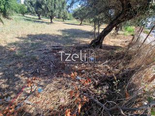 Οικόπεδο 2.000 τ.μ. για πώληση, Αχαΐα, Ρίο-thumb-28