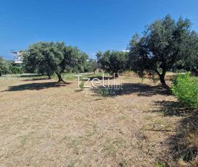 Οικόπεδο 650 τ.μ. για πώληση, Αχαΐα, Πάτρα-thumb-18