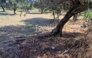 Οικόπεδο 650 τ.μ. για πώληση, Αχαΐα, Πάτρα-thumb-24