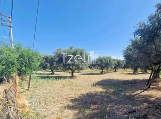 Οικόπεδο 650 τ.μ. για πώληση, Αχαΐα, Πάτρα-thumb-11