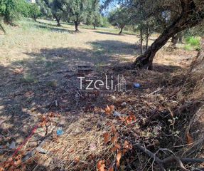 Οικόπεδο 650 τ.μ. για πώληση, Αχαΐα, Πάτρα-thumb-22
